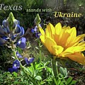 Texas Stands With Ukraine